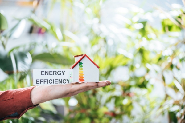 hand holding energy efficiency sign and a miniature house