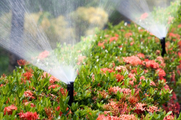 Automatic garden sprinklers near Fuel Oil Tank