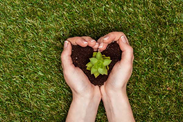 holding plant depicting environmentally friendly propane gas