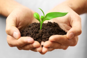 hands and plant depicting propane environmental impact